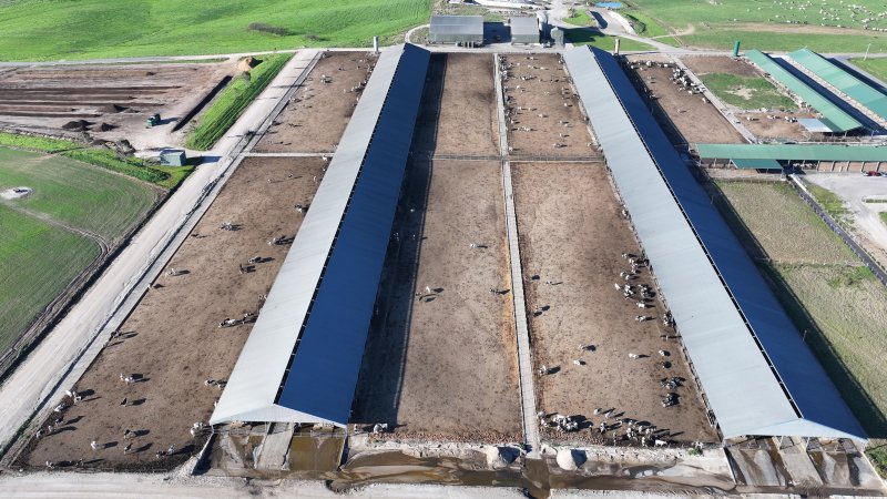 Leppington Pastoral Drone Shots