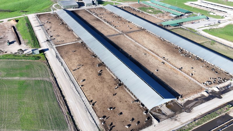 Leppington Pastoral Drone Shots
