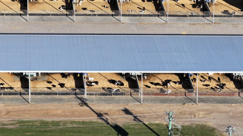 Leppington Pastoral Drone Shots