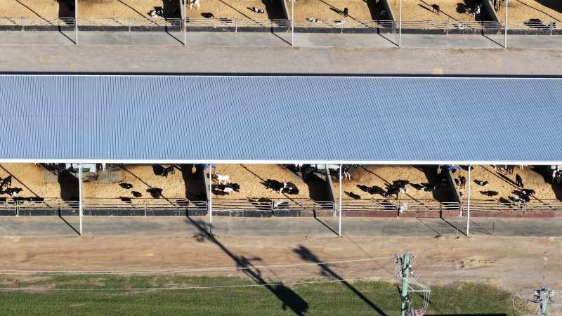 Leppington Pastoral Drone Shots