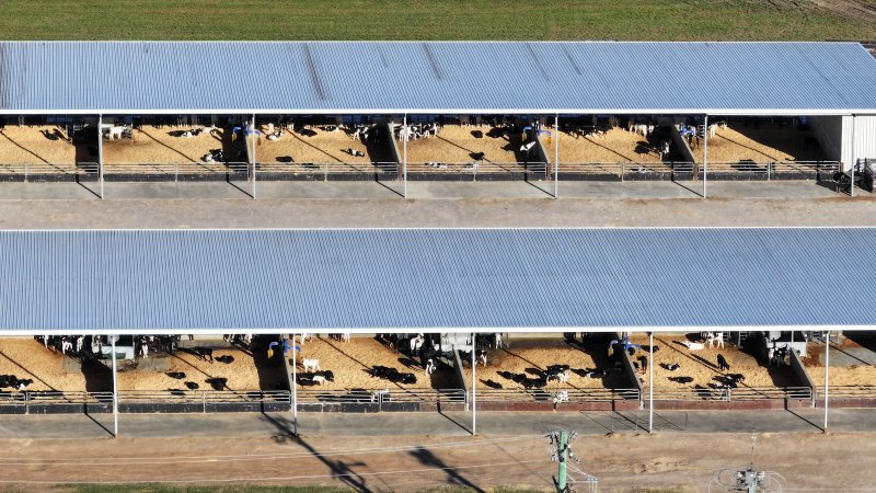 Leppington Pastoral Drone Shots