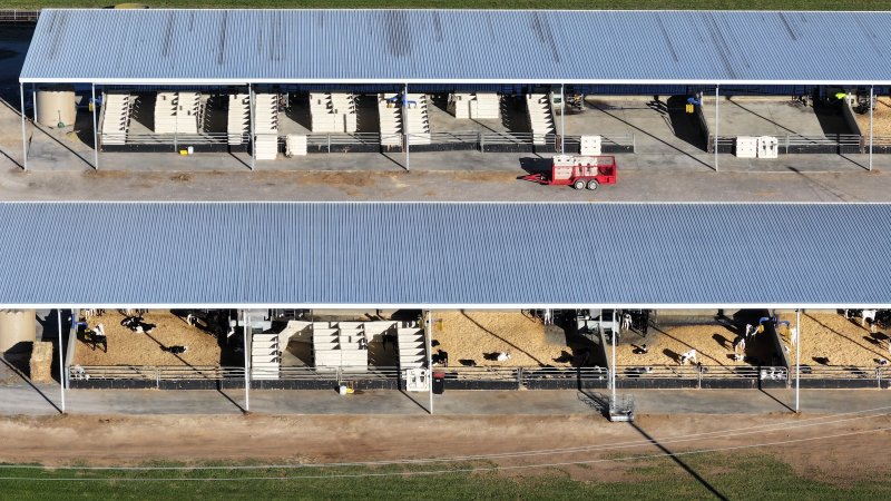 Leppington Pastoral Drone Shots