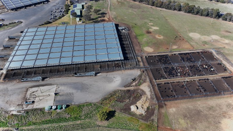Central Tablelands Livestock Exchange