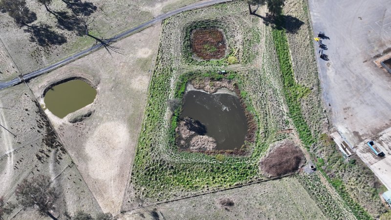 Central Tablelands Livestock Exchange