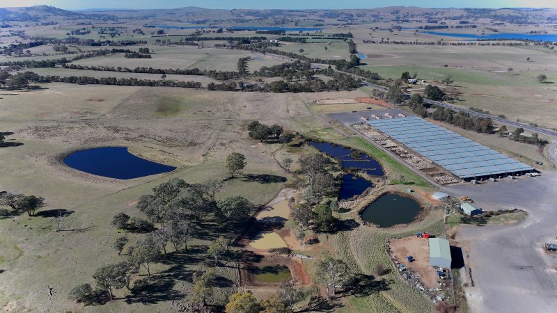 Central Tablelands Livestock Exchange