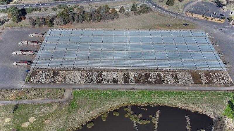 Central Tablelands Livestock Exchange