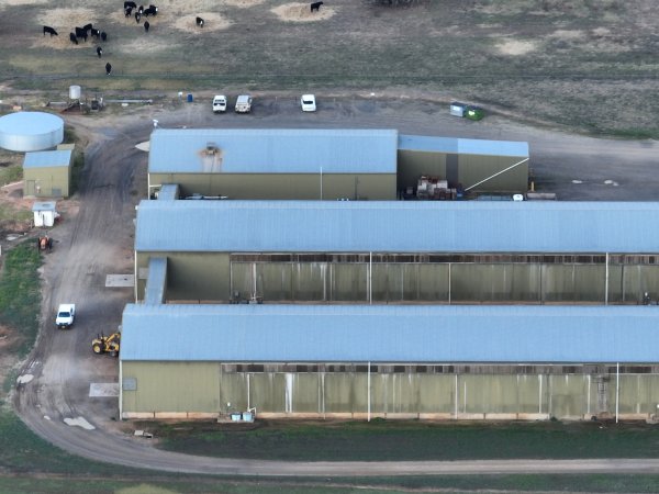 Drone Flyover June 2025