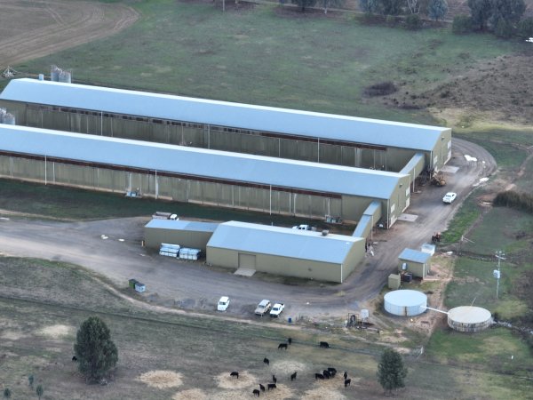 Drone Flyover June 2025