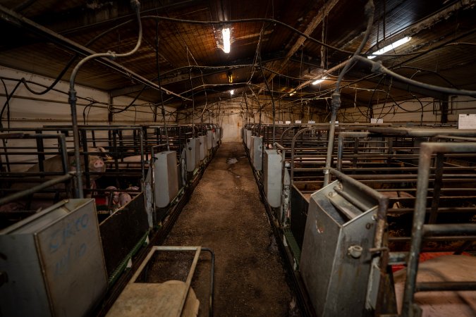 Finniss Park Piggery 2025