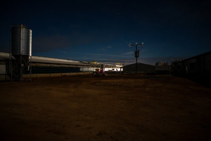 Finniss Park Piggery 2025