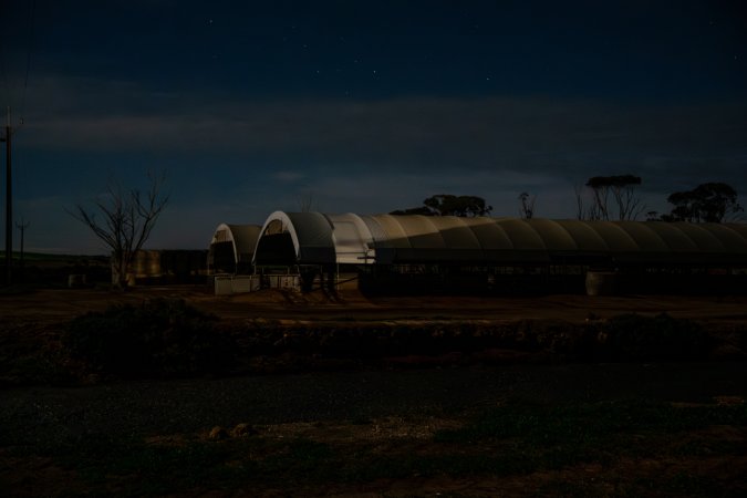 Finniss Park Piggery 2025