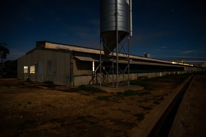 Finniss Park Piggery 2025