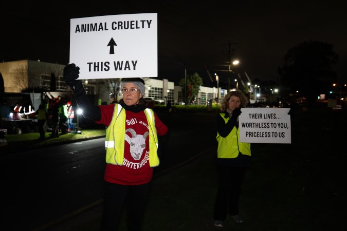 Cedar Meats Vigil - National Week Of Action 2025