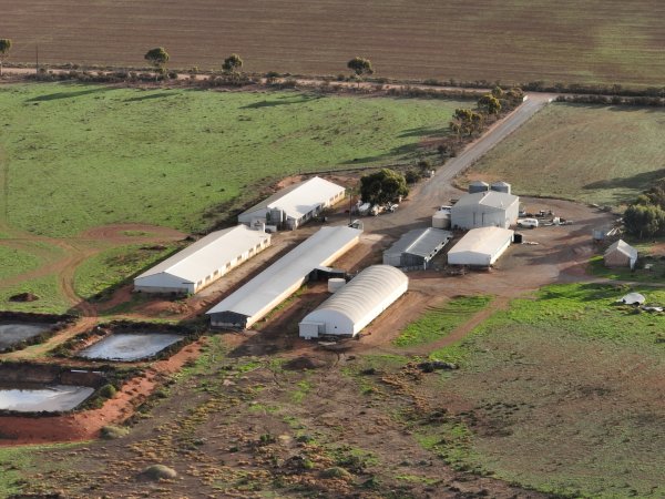 Drone flyover of piggery