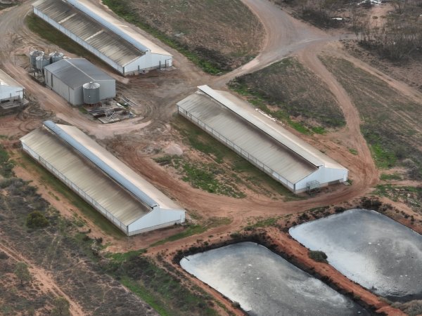 Drone flyover of piggery