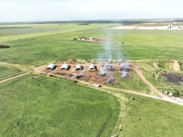 Pigs burned alive in shed fires