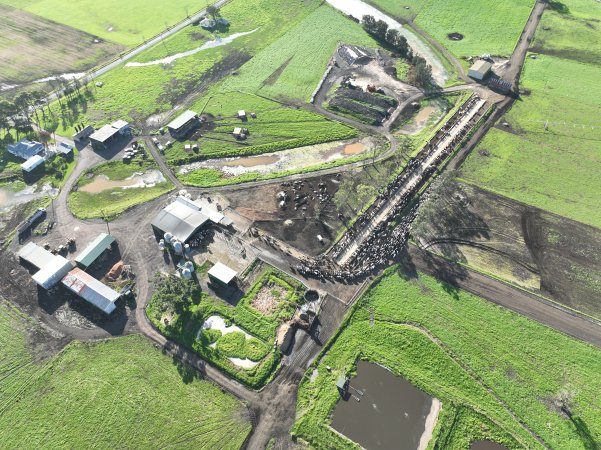 NSW Dairy Farms 2025