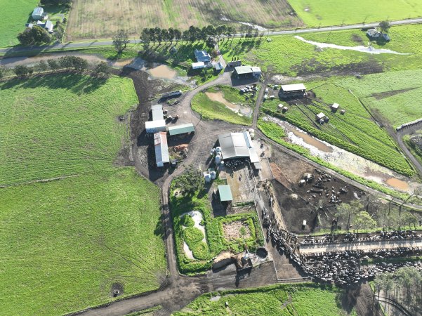 NSW Dairy Farms 2025