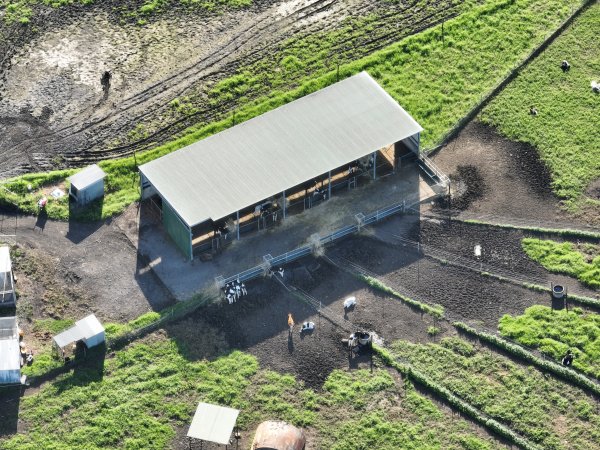 NSW Dairy Farms 2025