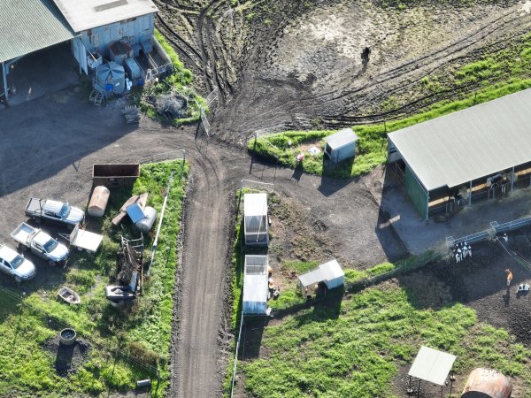 NSW Dairy Farms 2025