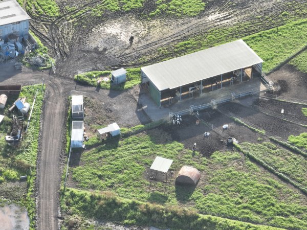 NSW Dairy Farms 2025