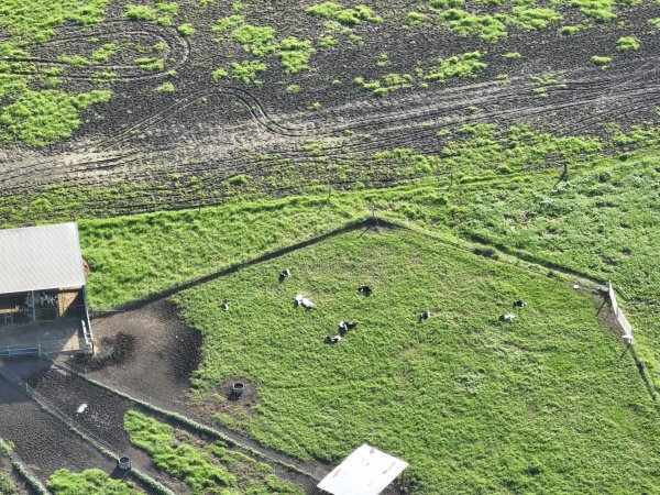 NSW Dairy Farms 2025