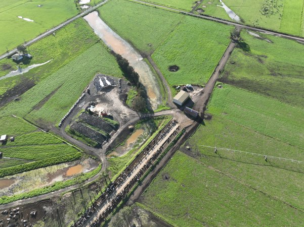 NSW Dairy Farms 2025