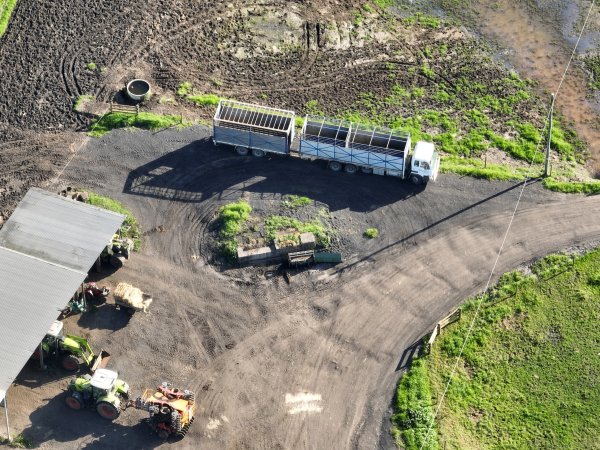 NSW Dairy Farms 2025