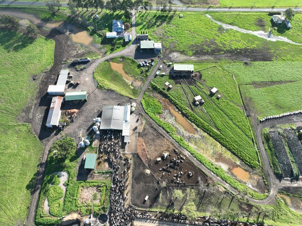 NSW Dairy Farms 2025