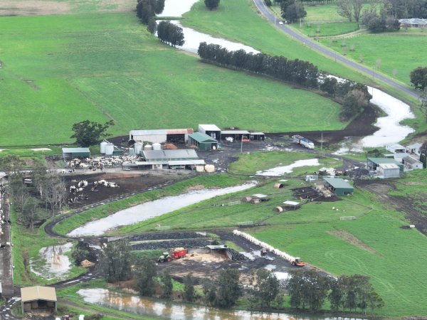 NSW Dairy Farms 2025