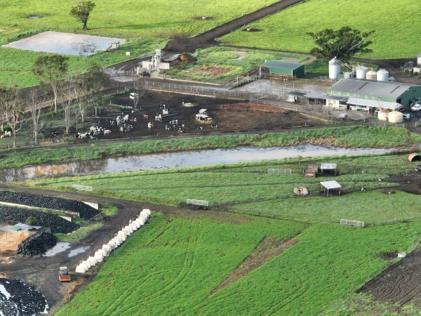 NSW Dairy Farms 2025