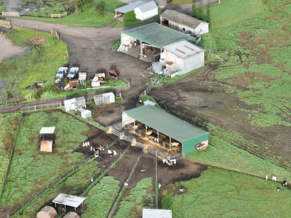 NSW Dairy Farms 2025