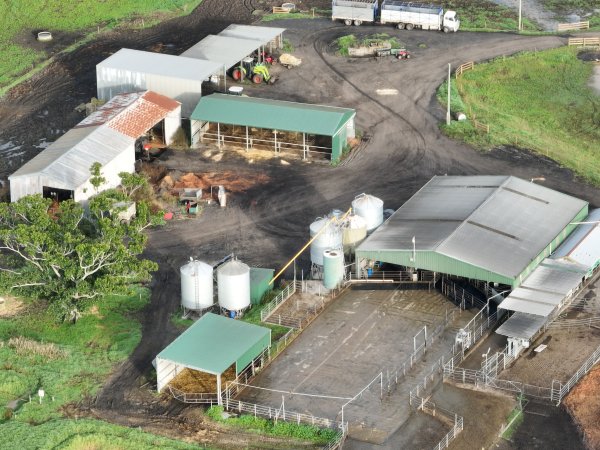 NSW Dairy Farms 2025