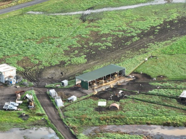 NSW Dairy Farms 2025