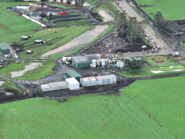 NSW Dairy Farms 2025