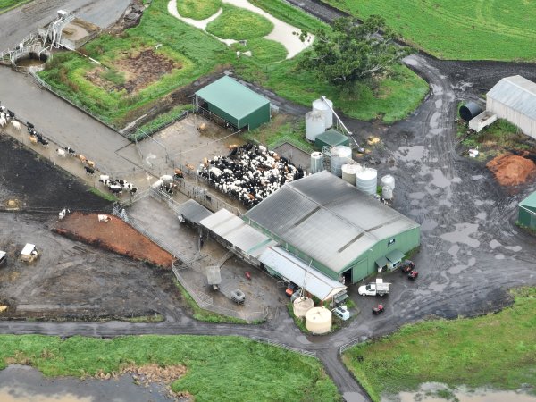 NSW Dairy Farms 2025