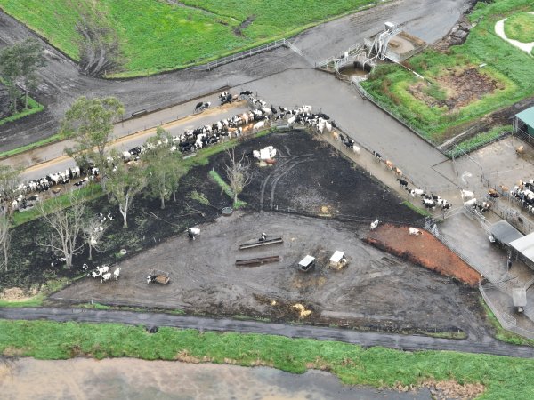 NSW Dairy Farms 2025