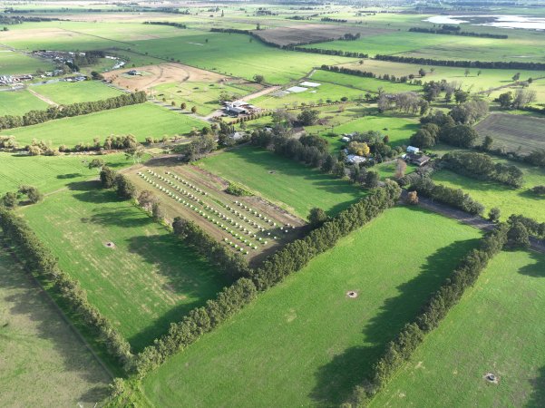 NSW Dairy Farms 2025