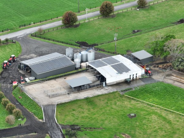 NSW Dairy Farms 2025