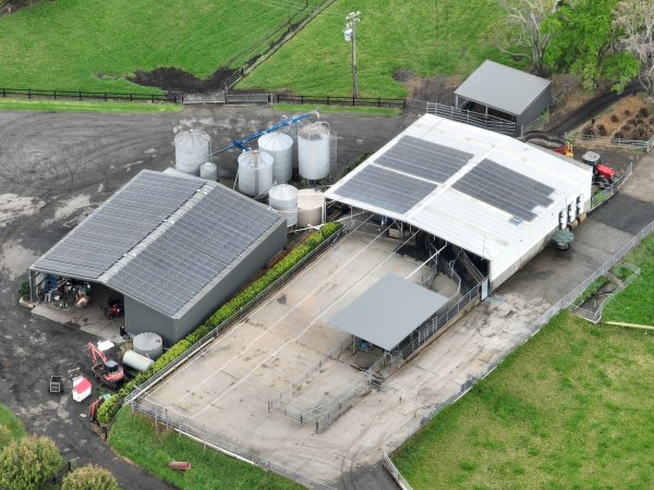 NSW Dairy Farms 2025