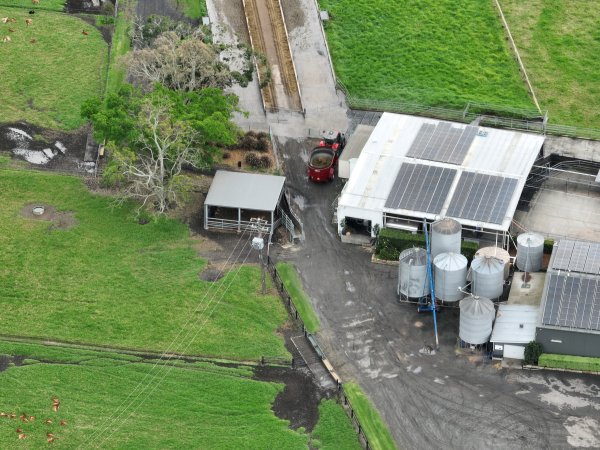 NSW Dairy Farms 2025