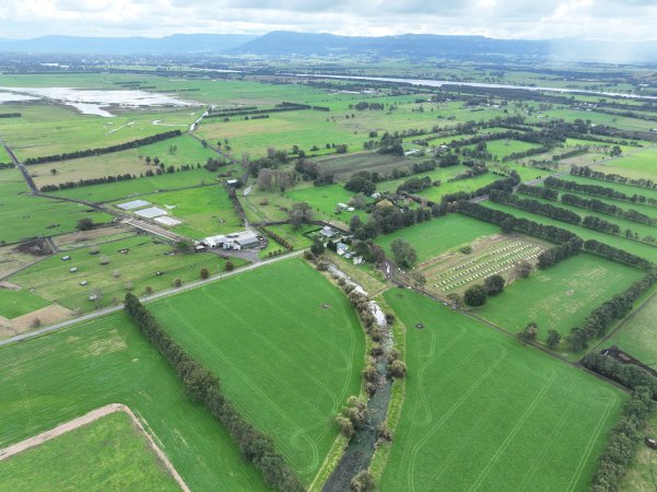 NSW Dairy Farms 2025