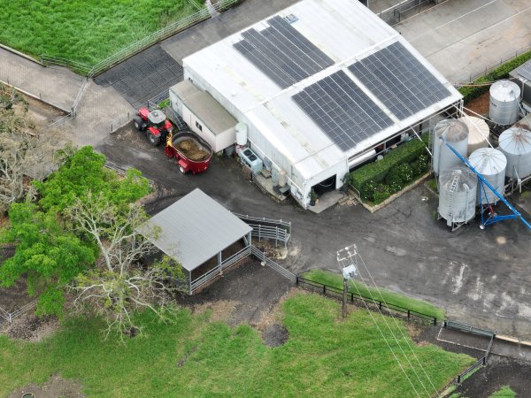 NSW Dairy Farms 2025