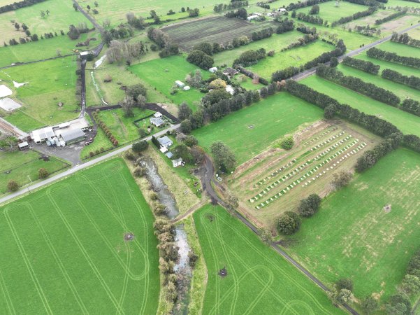 NSW Dairy Farms 2025