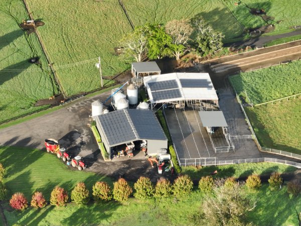 NSW Dairy Farms 2025