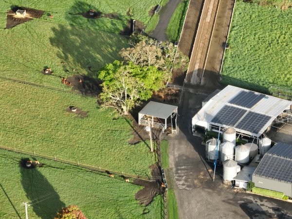 NSW Dairy Farms 2025