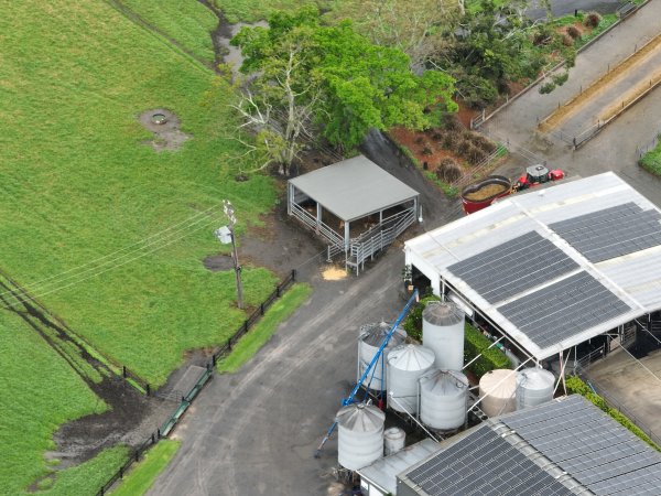 NSW Dairy Farms 2025