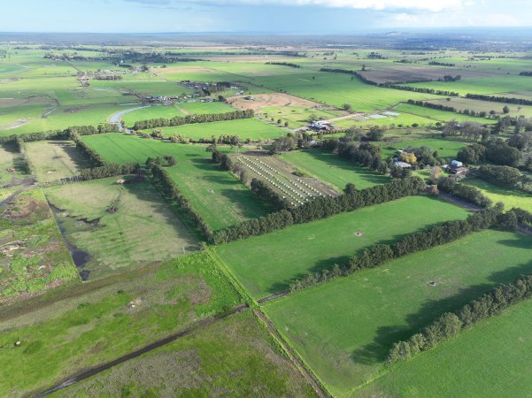 NSW Dairy Calf Crates - 2025