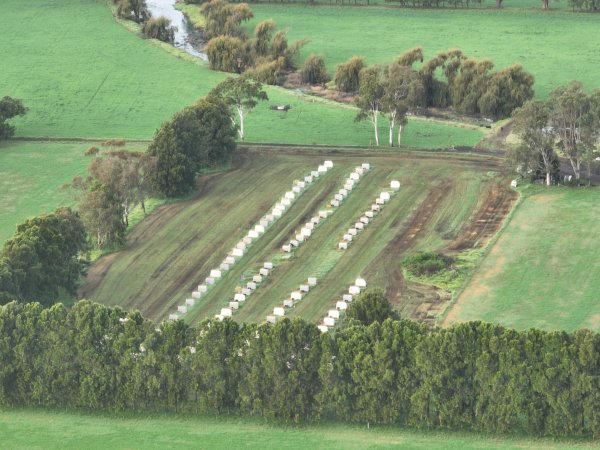 NSW Dairy Calf Crates - 2025