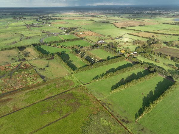 NSW Dairy Calf Crates - 2025